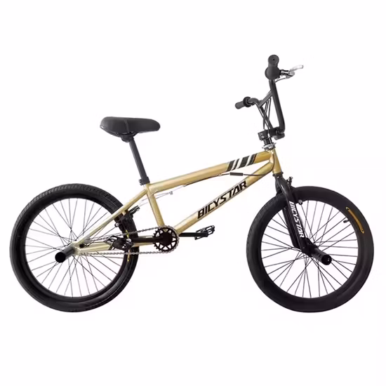 Freestyle 20" BMX Bicycle with Disc-Brake Bicicleta BMX Hc-BMX-045