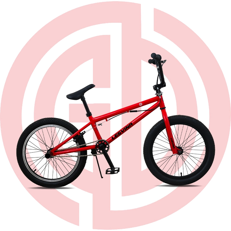 Steel Frame Bike 20inch Bicycle Alloy U-Brake Tire BMX Bike