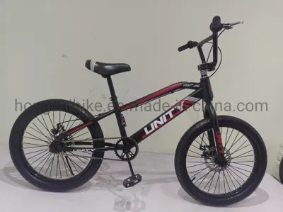 フリースタイル 20 インチ BMX 自転車 (ディスク付き)